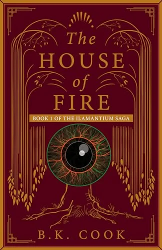 Cover for The Ilamantium Saga